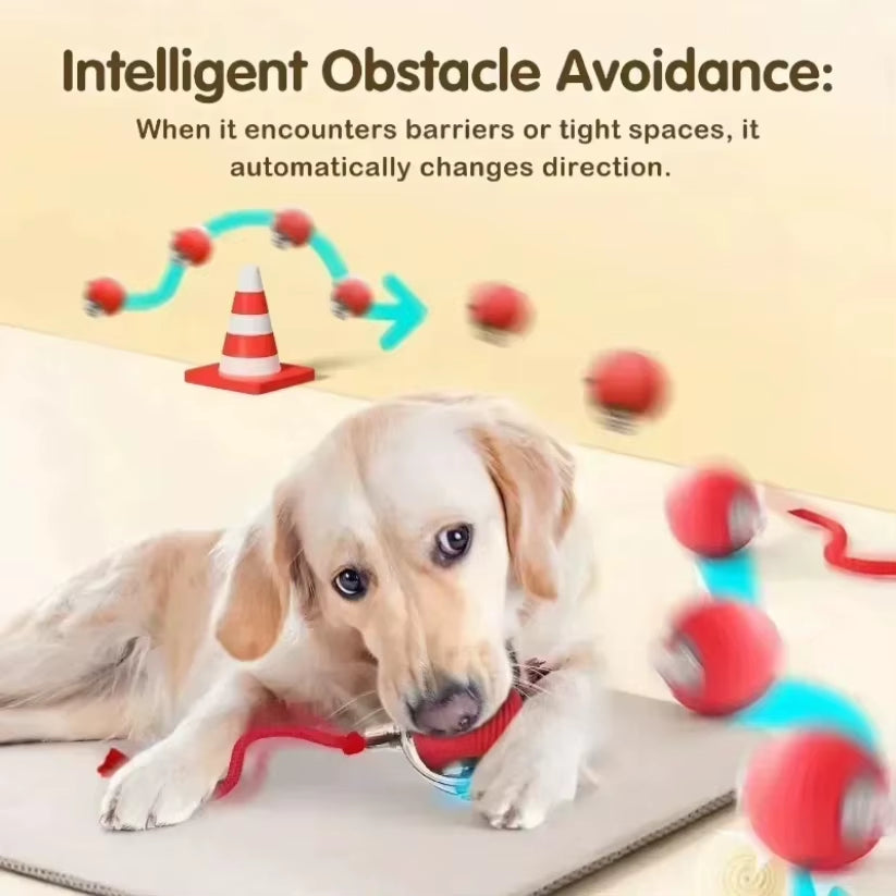 Interactive pet Ball Toy with Tail – Rechargeable Smart Rolling Ball Automatic Pet Toy