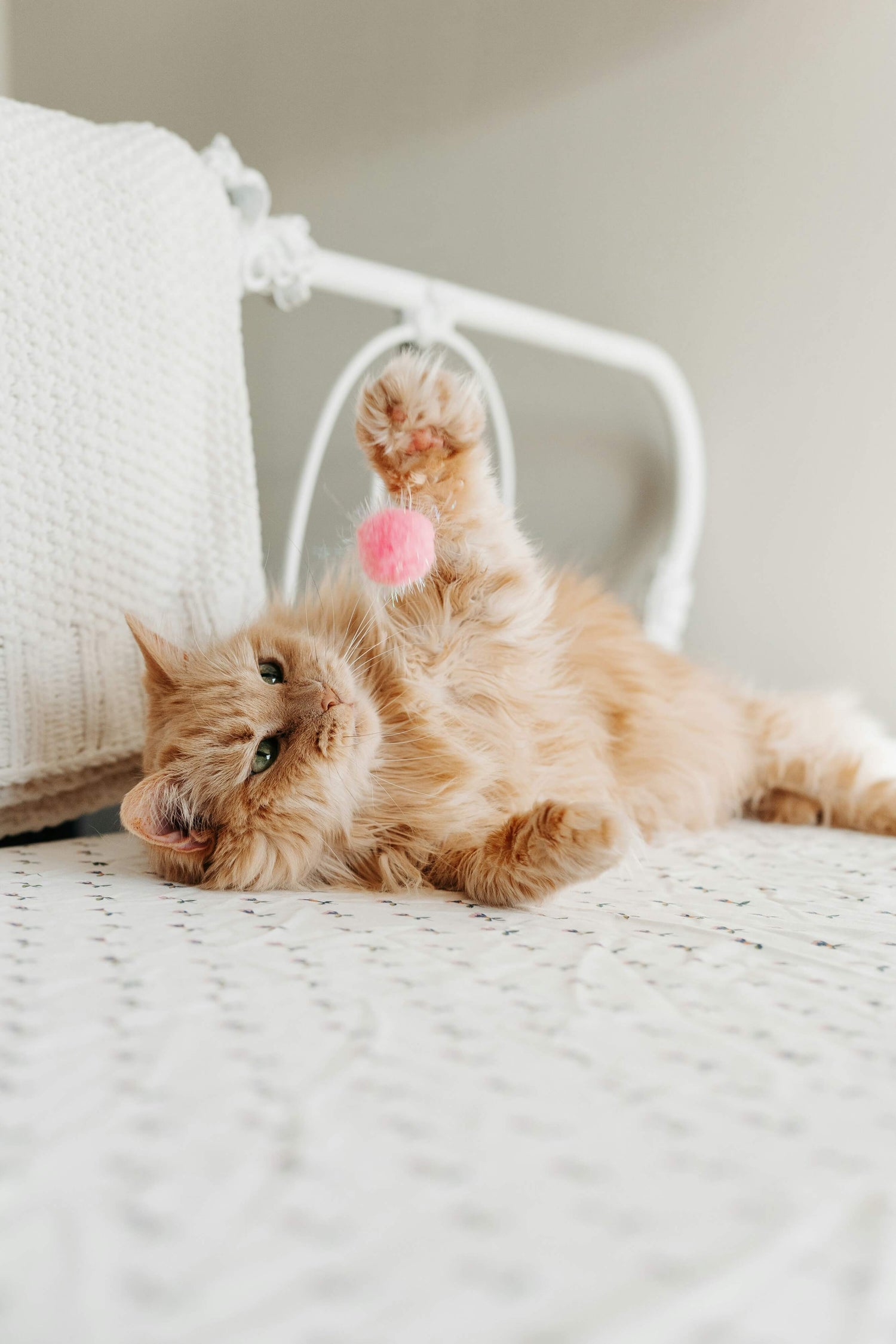 Toys & Play