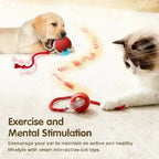 Interactive pet Ball Toy with Tail – Rechargeable Smart Rolling Ball Automatic Pet Toy