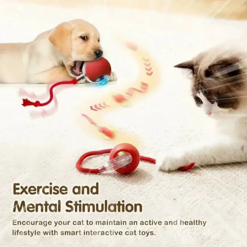 Interactive pet Ball Toy with Tail – Rechargeable Smart Rolling Ball Automatic Pet Toy