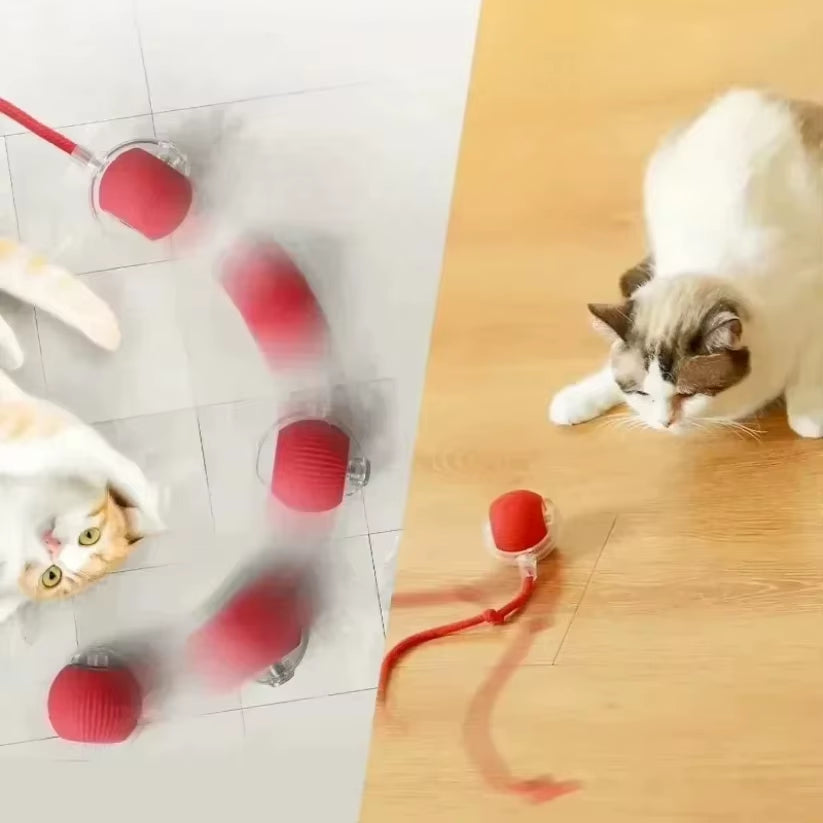 Interactive pet Ball Toy with Tail – Rechargeable Smart Rolling Ball Automatic Pet Toy