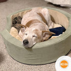 Heated dog bed (medium) – thermo electric warming bed for dogs