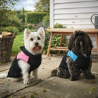 Waterproof Dog Winter Coat – Warm Padded Vest Jacket for Small Dogs & Cats