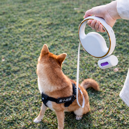 Retractable Dog Leash 3M with LED Light & Poop Bag Holder – Reflective Night Walking Lead