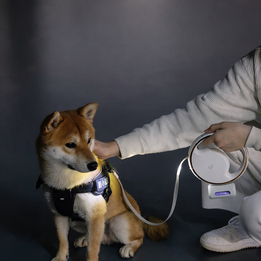 Retractable Dog Leash 3M with LED Light & Poop Bag Holder – Reflective Night Walking Lead