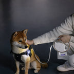 Retractable Dog Leash 3M with LED Light & Poop Bag Holder – Reflective Night Walking Lead