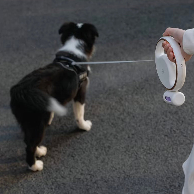 Retractable Dog Leash 3M with LED Light & Poop Bag Holder – Reflective Night Walking Lead