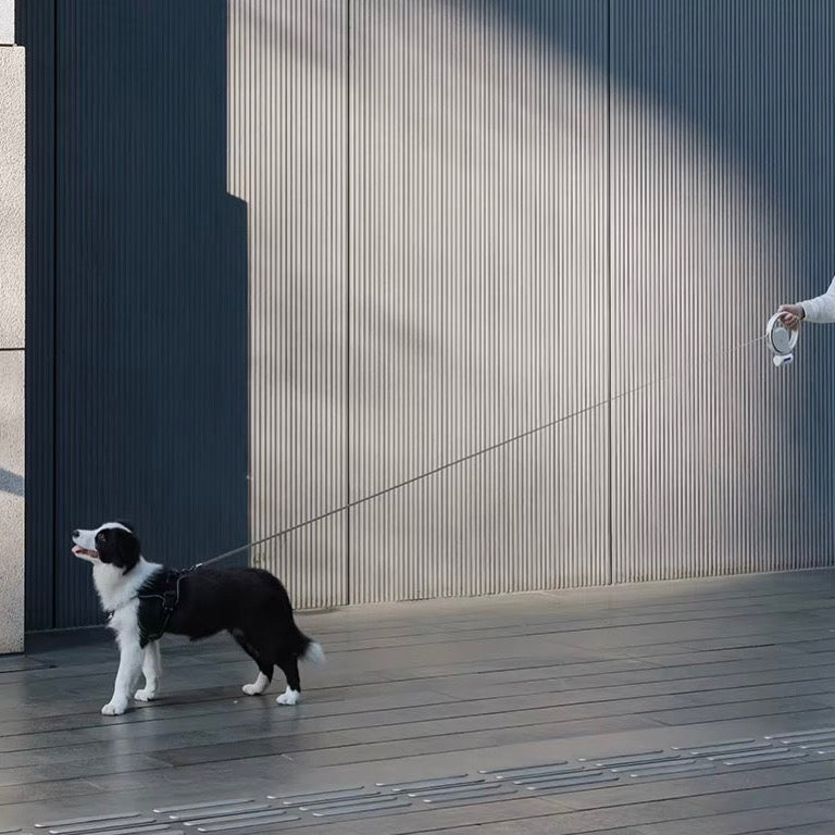 Retractable Dog Leash 3M with LED Light & Poop Bag Holder – Reflective Night Walking Lead