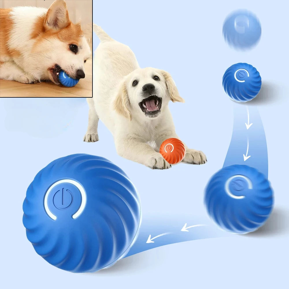 Automatic Interactive Dog Ball – USB Rechargeable Moving Dog Toy