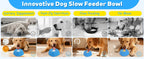 Slow Feeder Dog Bowl – Anti-Slip Lick Bowl for Healthy Eating