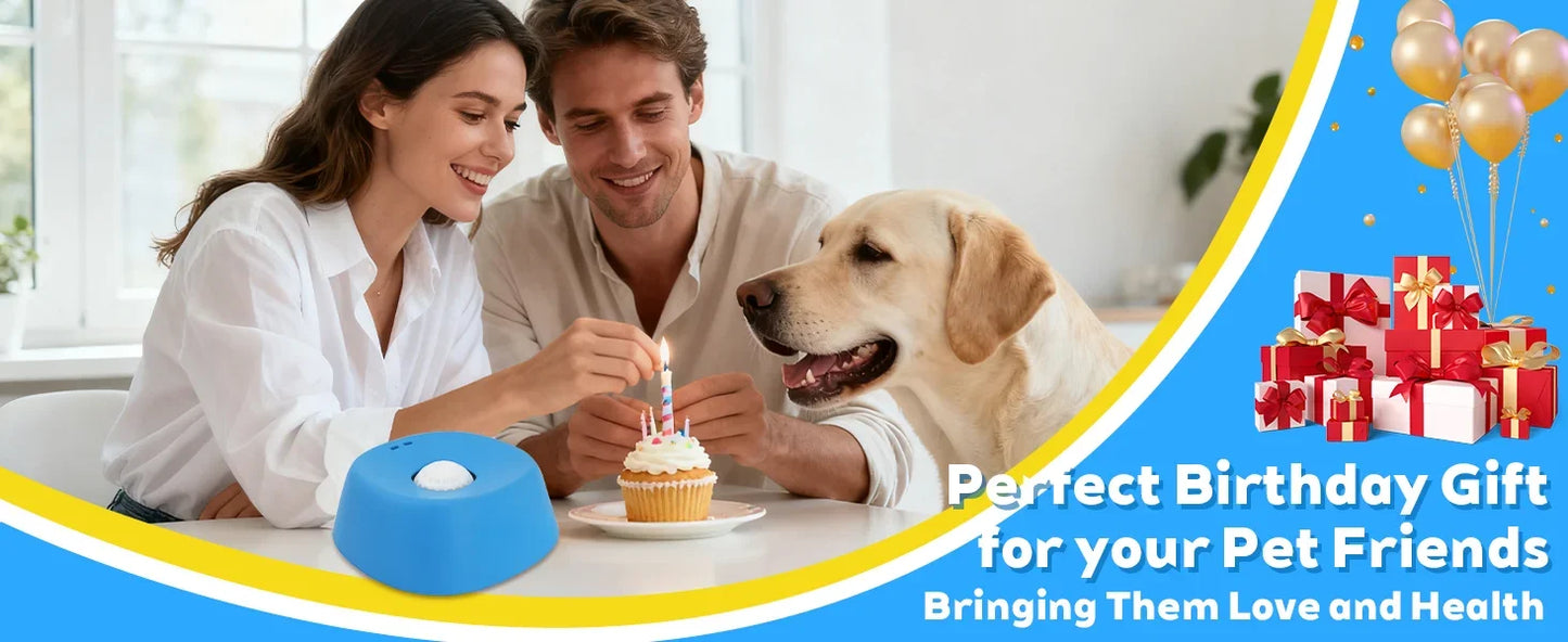 Slow Feeder Dog Bowl – Anti-Slip Lick Bowl for Healthy Eating