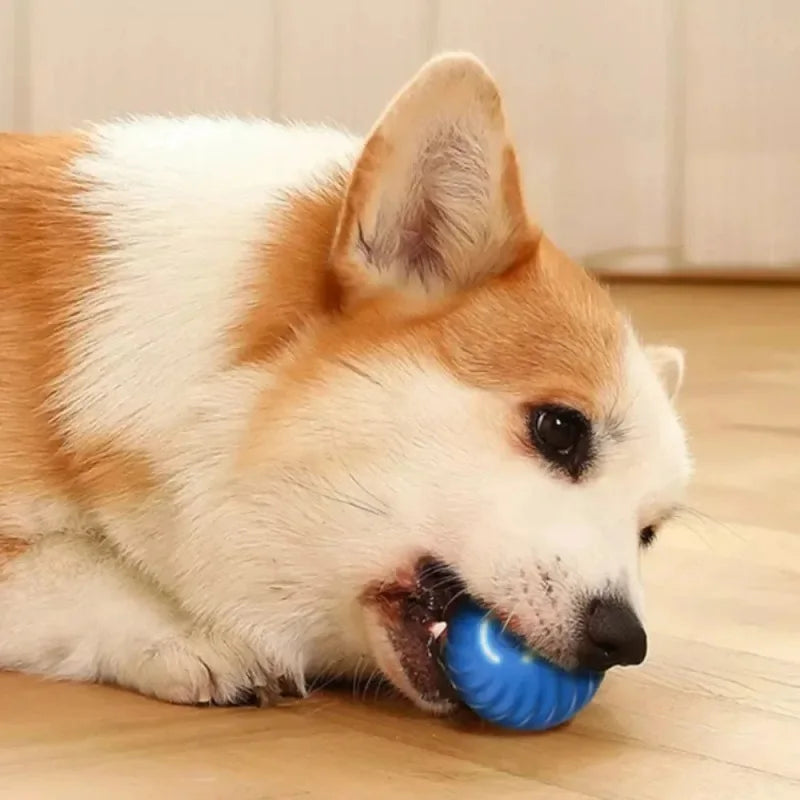 Automatic Interactive Dog Ball – USB Rechargeable Moving Dog Toy