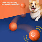 Automatic Interactive Dog Ball – USB Rechargeable Moving Dog Toy