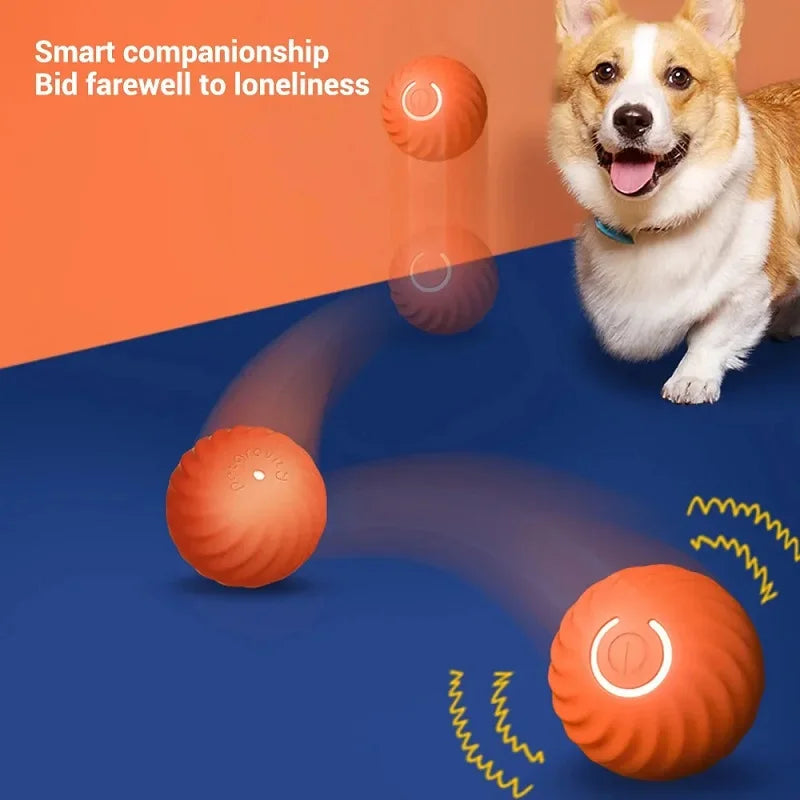 Automatic Interactive Dog Ball – USB Rechargeable Moving Dog Toy