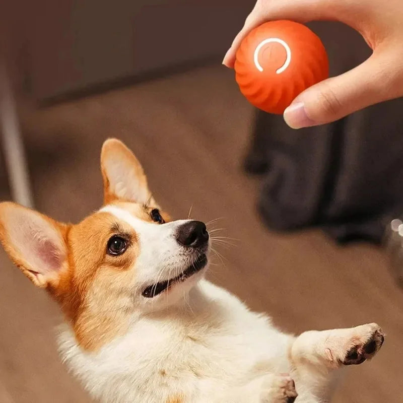 Automatic Interactive Dog Ball – USB Rechargeable Moving Dog Toy