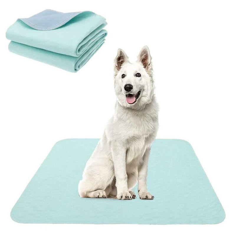 Puppy Training Pads X 4 Pack Large Pet Training Pad Wee Mat Cat Dog Pets 50X40Cm