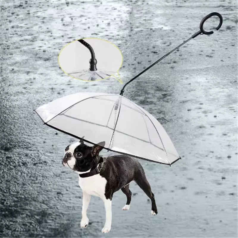Pet Umbrella Leash for Small Dogs & Cats – Rainproof & Snowproof Adjustable Doggy Umbrella